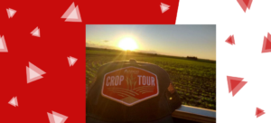 Crop Tour Itaimbé Massey Ferguson